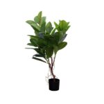 Banyan Tree 6-Head 1.2M