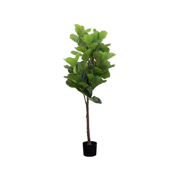 Banyan Tree 7-Head 1.7M