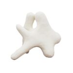 Ceramic Coral DE05 Ornament Setof2