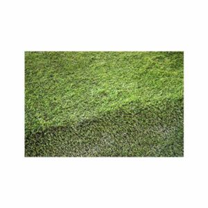 carpet-grass