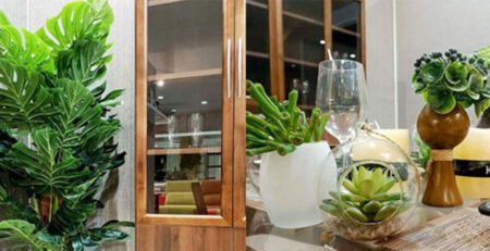 Trends with Nature