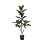 F01961 Rubber Plant 125cm